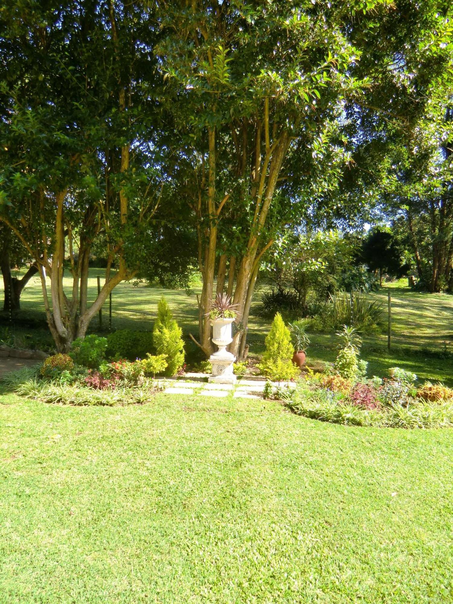 Warrens Guest House Hillcrest Quarto foto